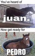 Image result for Maybe I'm Not the Right Juan Meme