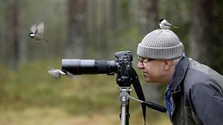Image result for Bird Watch Series 7