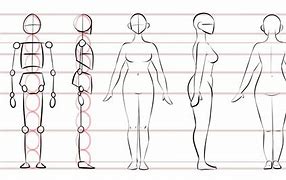 Image result for Anatomy Help Drawing
