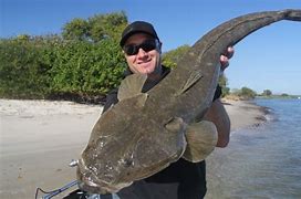Image result for 10 Meter Falthead
