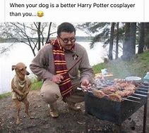 Image result for Harry Potter Animal Memes