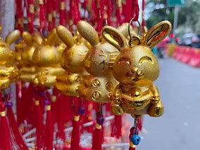 Image result for Funny Chinese New Year