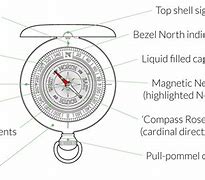 Image result for Compass Anatomy