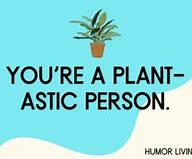 Image result for Funny Office Plant Puns