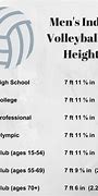 Image result for High School Volleyball Net