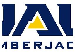 Image result for Nau Lumberjacks Logo