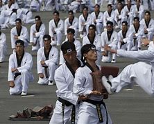 Image result for Korean Martial Arts Styles