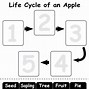 Image result for Colouring Apple Life Cycle