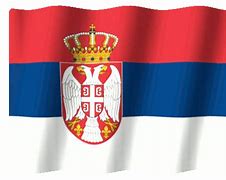 Image result for Black and White Serbian Flag