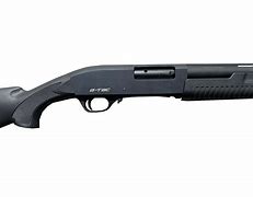 Image result for How Much Is Pump Action Price in Nigeria