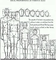 Image result for Human Head Proportions Drawing