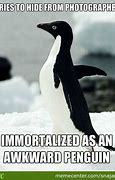 Image result for Adios Penguin Meme