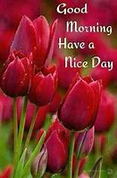 Image result for Godd Moring Have Great Day
