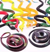 Image result for Toy Rubber Snakes
