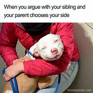 Image result for Protective Sibling Memes