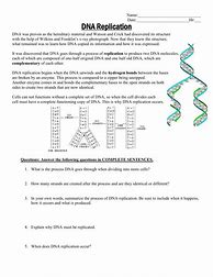 Image result for DNA Replication Worksheet Key