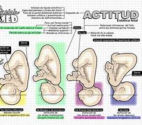 Image result for actutud