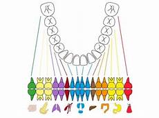 Can Wisdom Tooth Cause Hip Ache Medical Sciences Stack