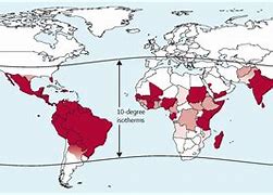 Image result for Dengue Distribution Map