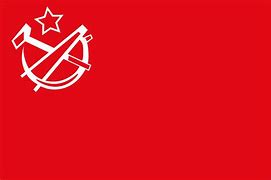 Image result for Communist Turkey Flag