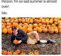 Image result for Wrong Pumpkin Patch Meme