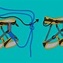 Image result for Rappelling Knots