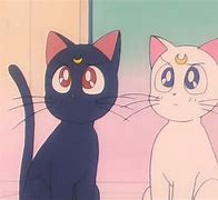 Image result for Cat and Moon Anime Desktop Wallpaper