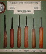 Image result for Cricket Bat Evolution