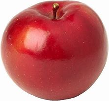 Image result for apple fruit
