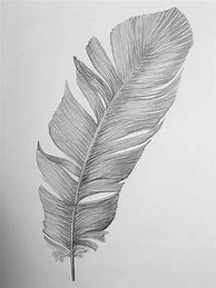 Image result for Drawn Feather