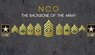 Image result for NCO Backbone Clip Art