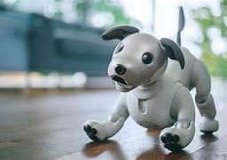 Image result for Sony Aibo Dino