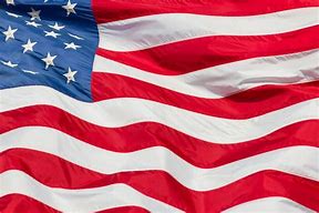 Image result for American Flag Backdrop