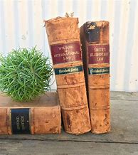 Image result for Antique Leather Bound Law Books