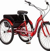 Image result for Adult Cycle