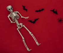 Image result for Flying Bat Skeleton