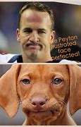 Image result for Funny American Football Moments