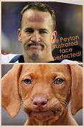Image result for Funny NFL Pics
