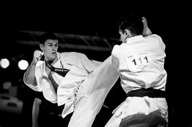 Image result for Kyokushinkai Karate