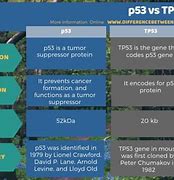 Image result for TP53 vs P53