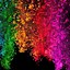 Image result for 7 Colorful Wallpaper iPhone