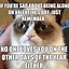 Image result for Funny Cat Pictures Memes 2023