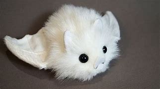 Image result for Stuffed Albino Bat