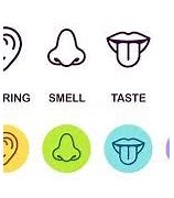 Image result for 5 Senses Symbols