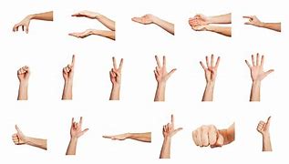 Image result for Types of Hand Gestures