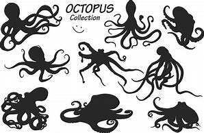 Image result for Octopus Silhouette Graph