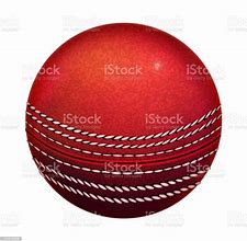 Image result for Cricket Playing Surface