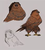 Image result for Moana Hawk