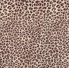 Image result for Leopard Print Beige