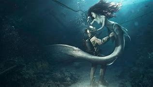 Image result for Mermaid Real Story